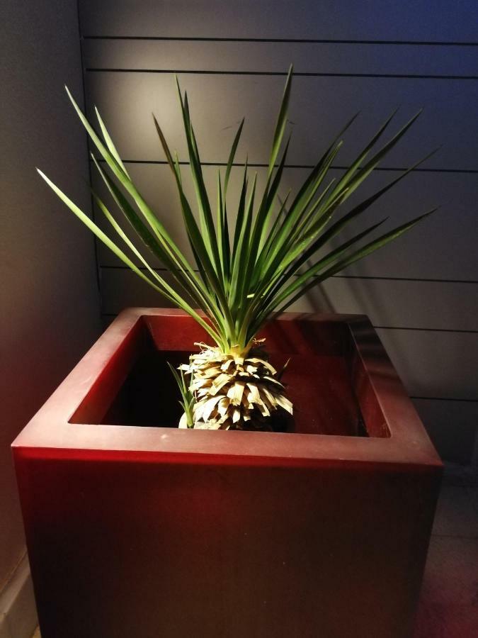 Casa Euphorbia Villa Las Negras Eksteriør billede