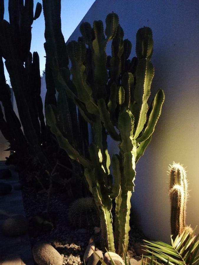 Casa Euphorbia Villa Las Negras Eksteriør billede